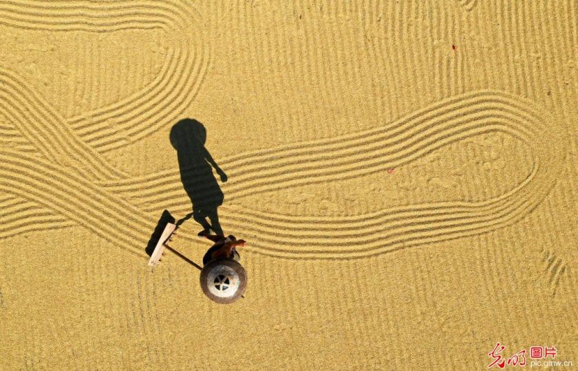 Foto: Jiang Keqing / Guangming Picture.