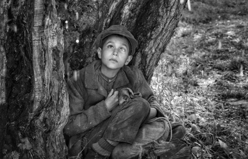 Nabarvené ptáče. Foto: Česká filmová a televizní akademie 