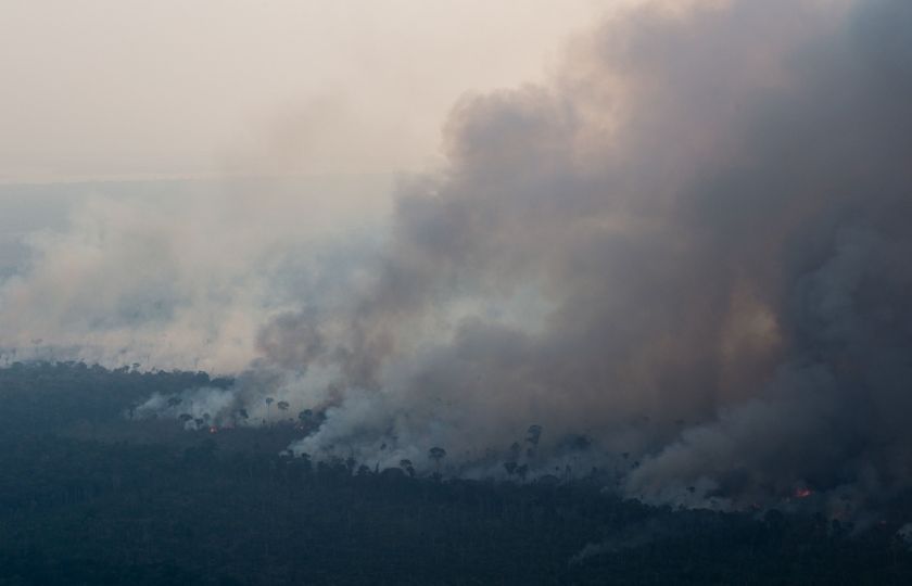 Hořící amazonský prales. Foto: Profimedia