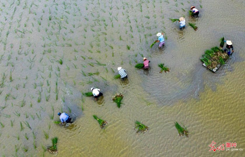 Foto: Zuo Xuechang / Guangming Picture.