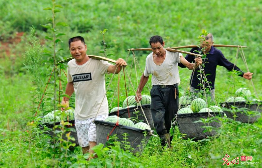 Foto: Deng Longhua / Guangming.