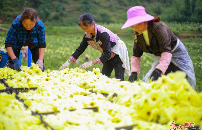 Foto: Zhou Xunchao / Guangming.