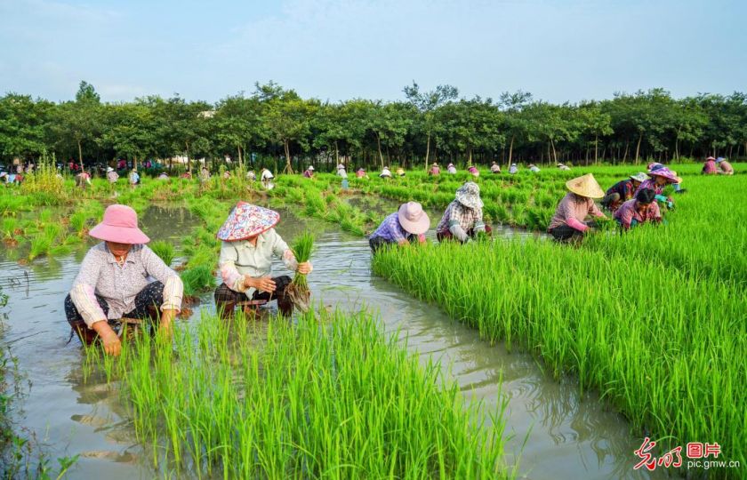 Foto: Tan Yunfeng /Guangming Picture