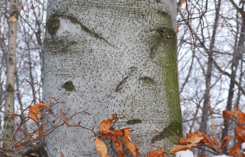 Foto: Martin Patřičný.